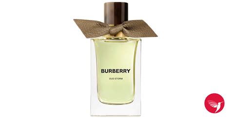 burberry white|burberry unisex perfume.